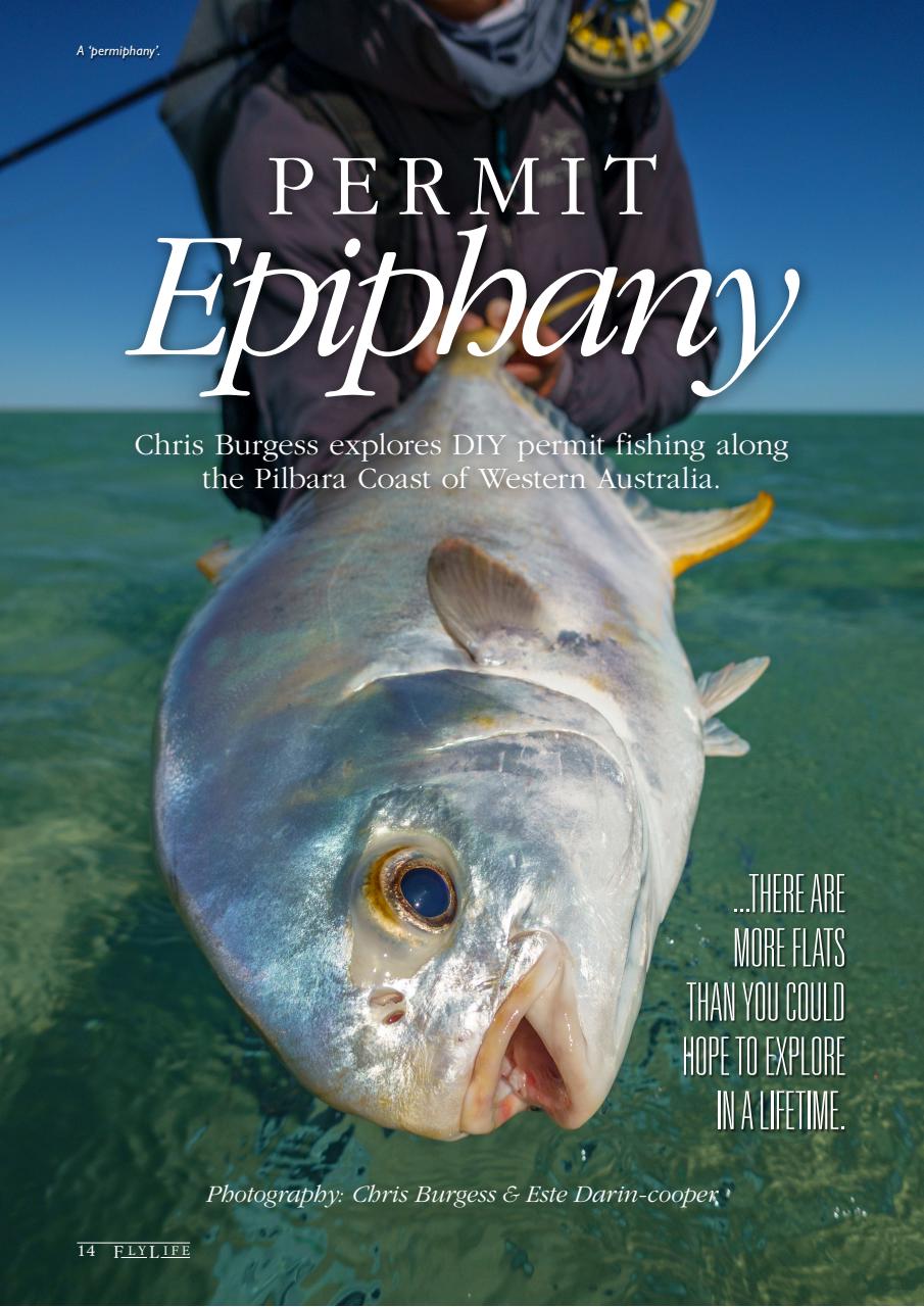 FlyLife Preview Pages