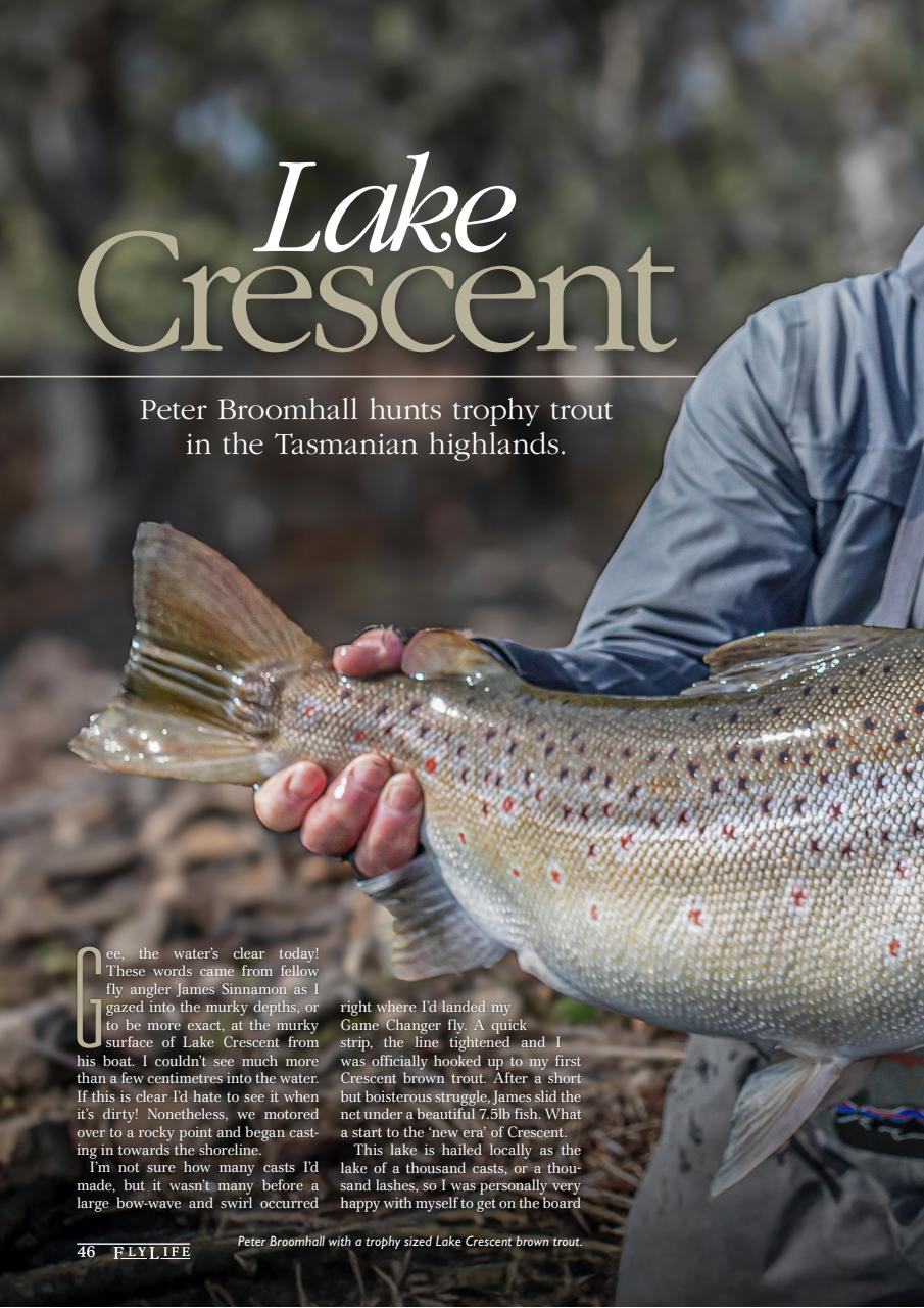 FlyLife Preview Pages