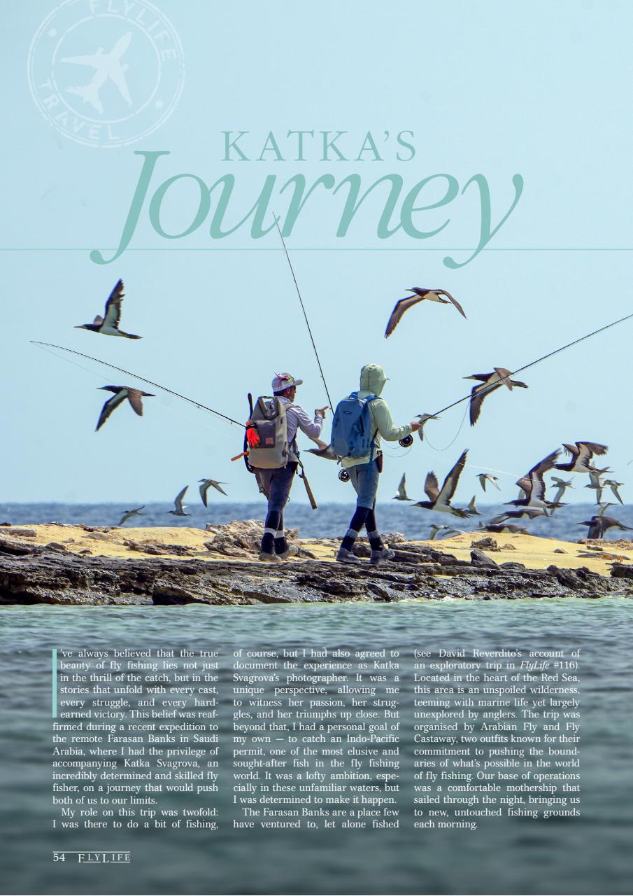 FlyLife Preview Pages