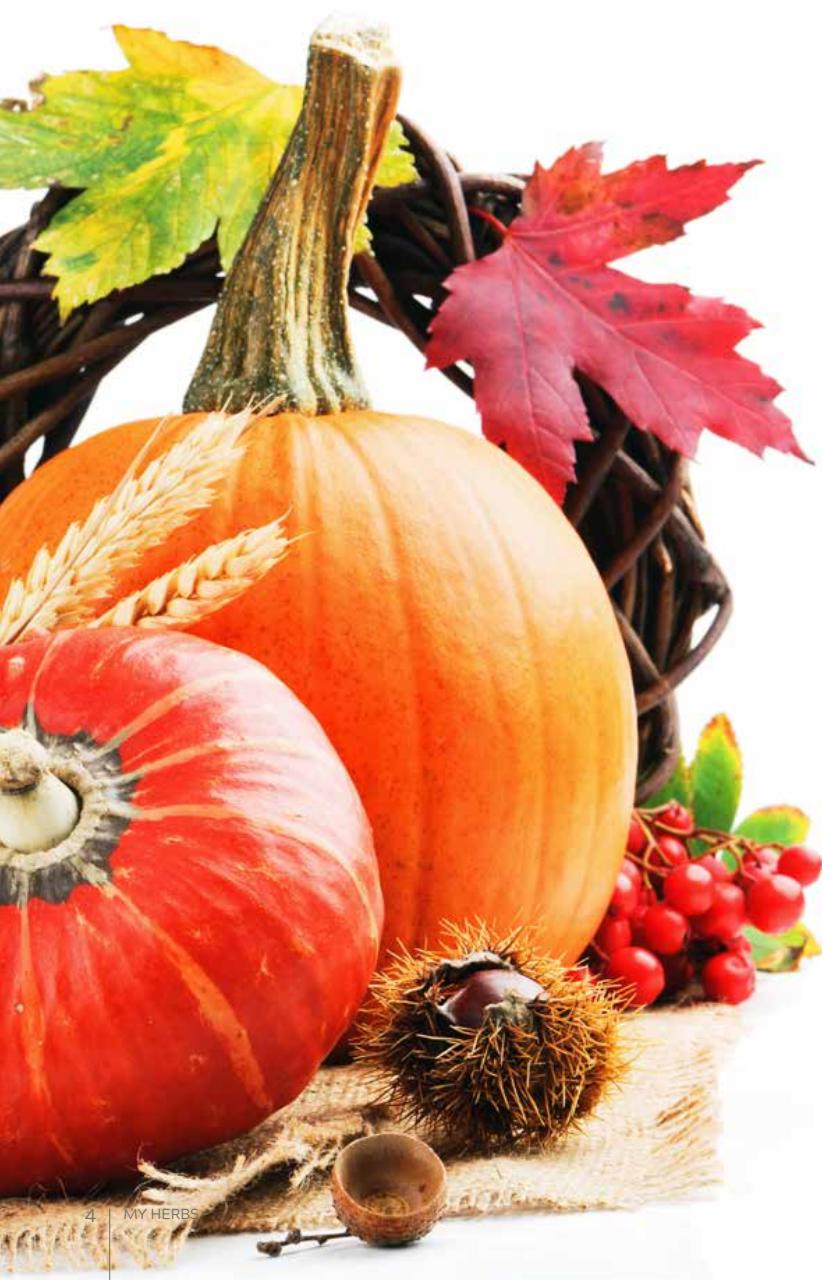 My Herbs Magazine Preview Pages