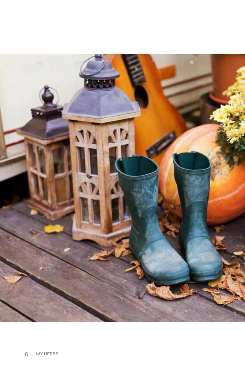 My Herbs Magazine Preview Pages