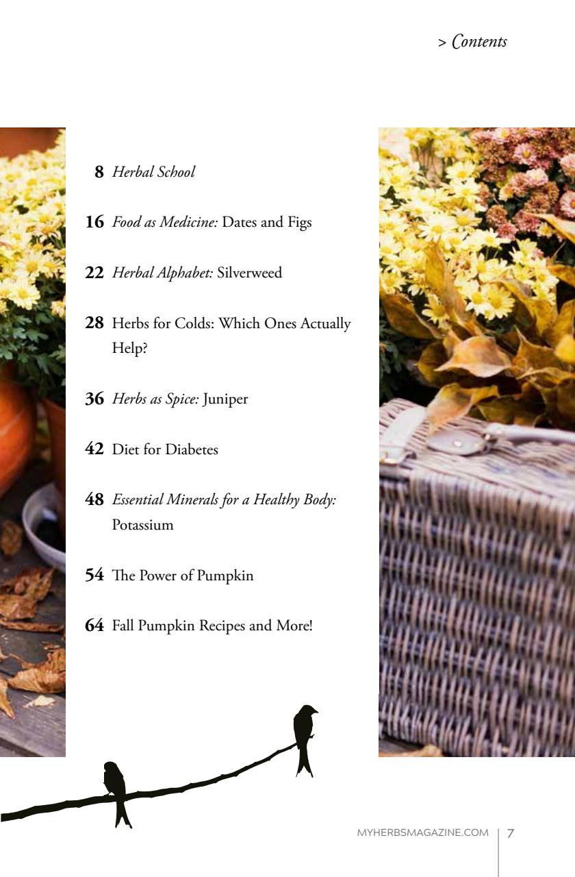 My Herbs Magazine Preview Pages