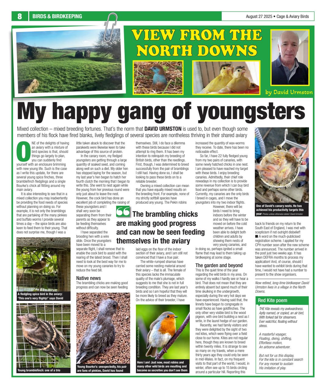 Cage & Aviary Birds Preview Pages