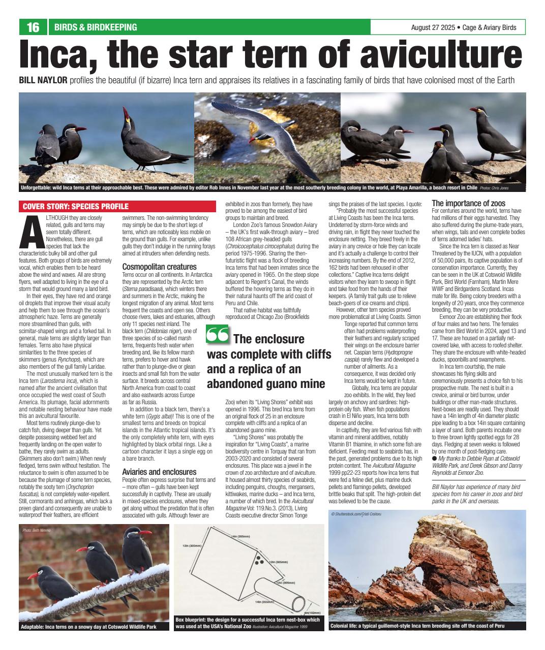 Cage & Aviary Birds Preview Pages