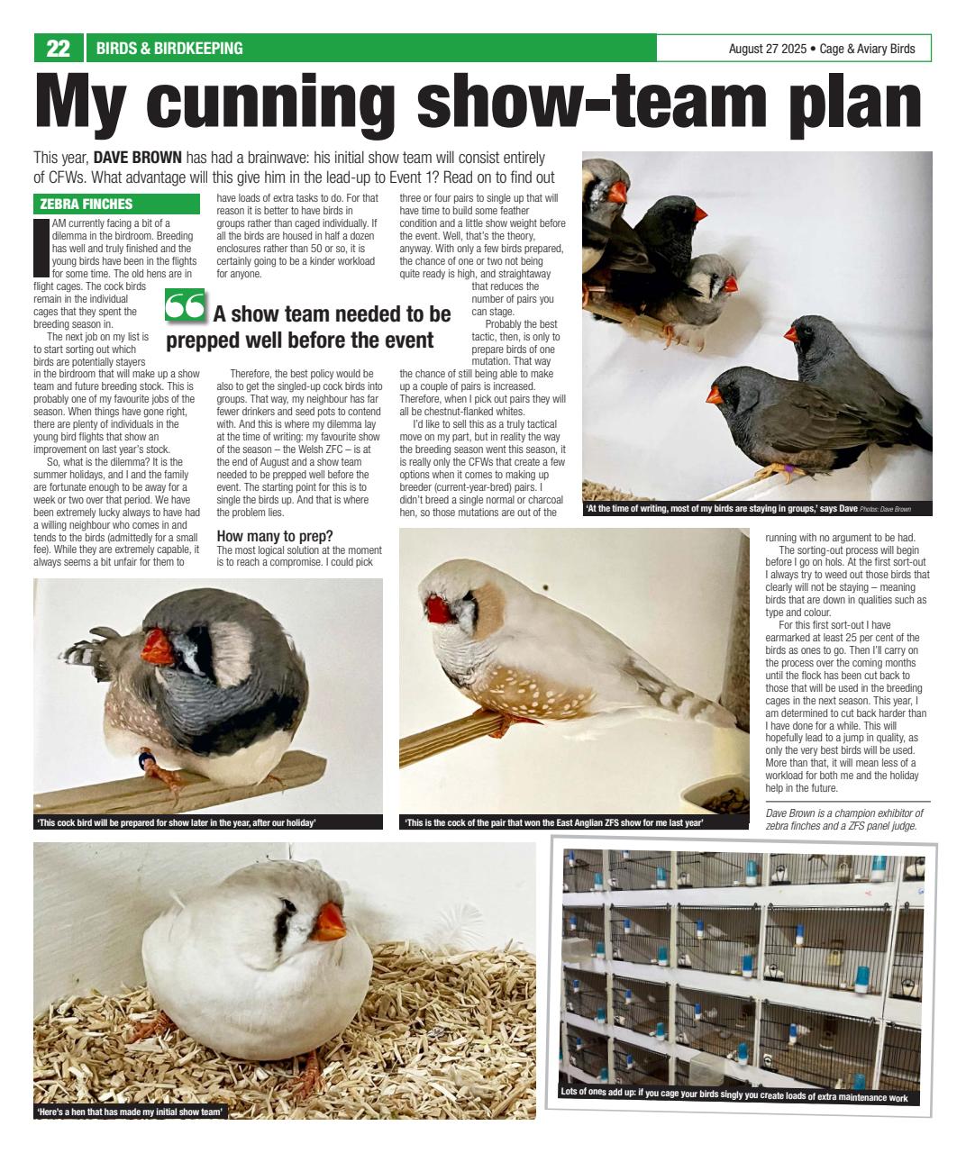 Cage & Aviary Birds Preview Pages