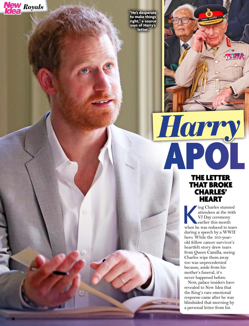 New Idea Preview Pages