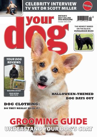 Your Dog issue October 2025
