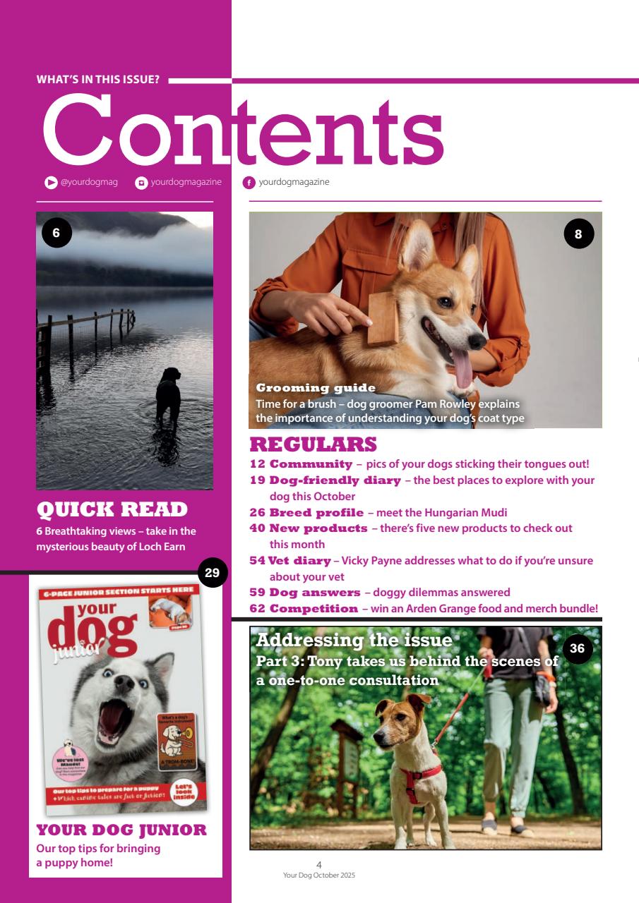 Your Dog Preview Pages