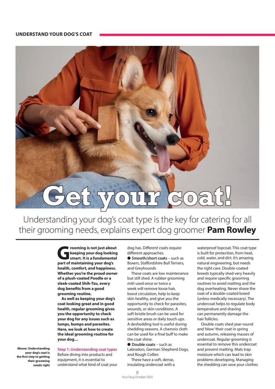 Your Dog Preview Pages