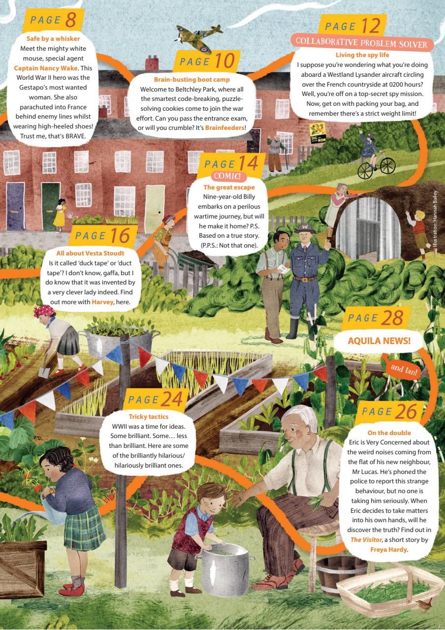 Aquila Preview Pages