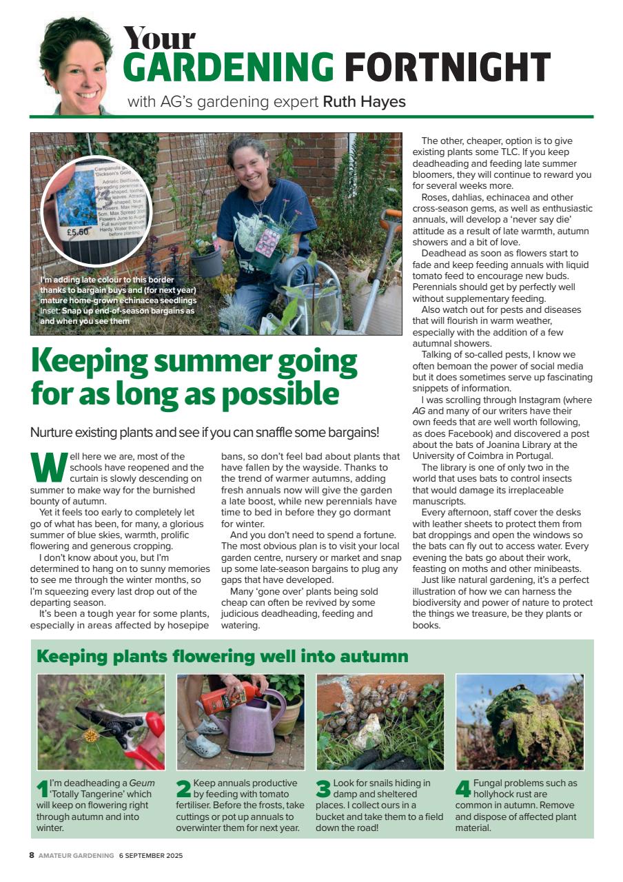 Amateur Gardening Preview Pages