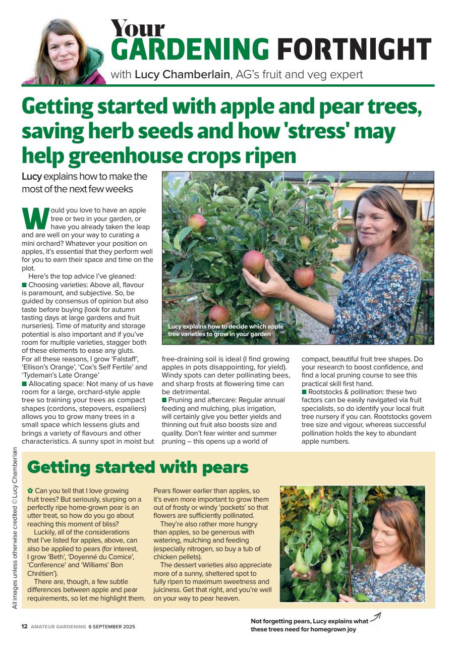 Amateur Gardening Preview Pages