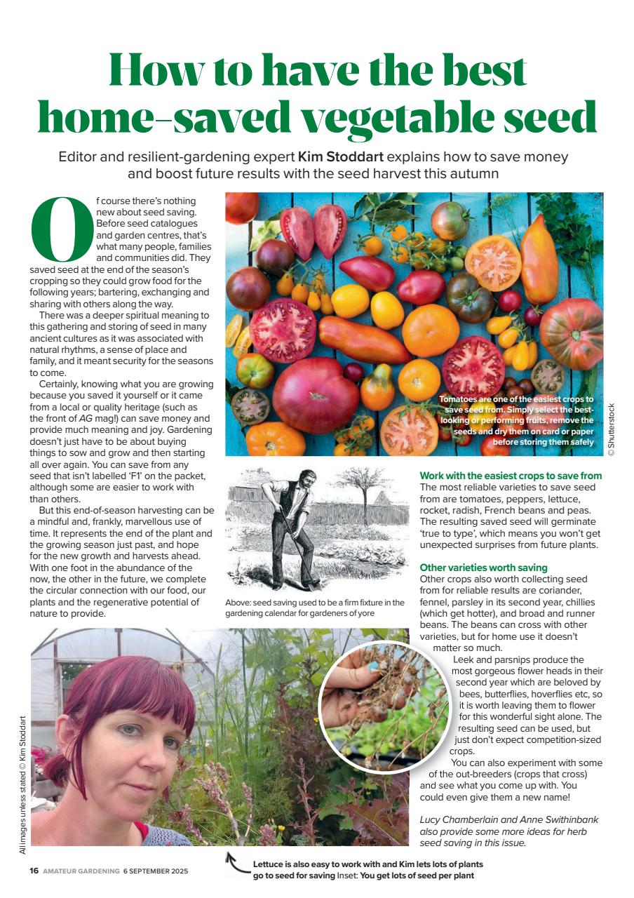 Amateur Gardening Preview Pages