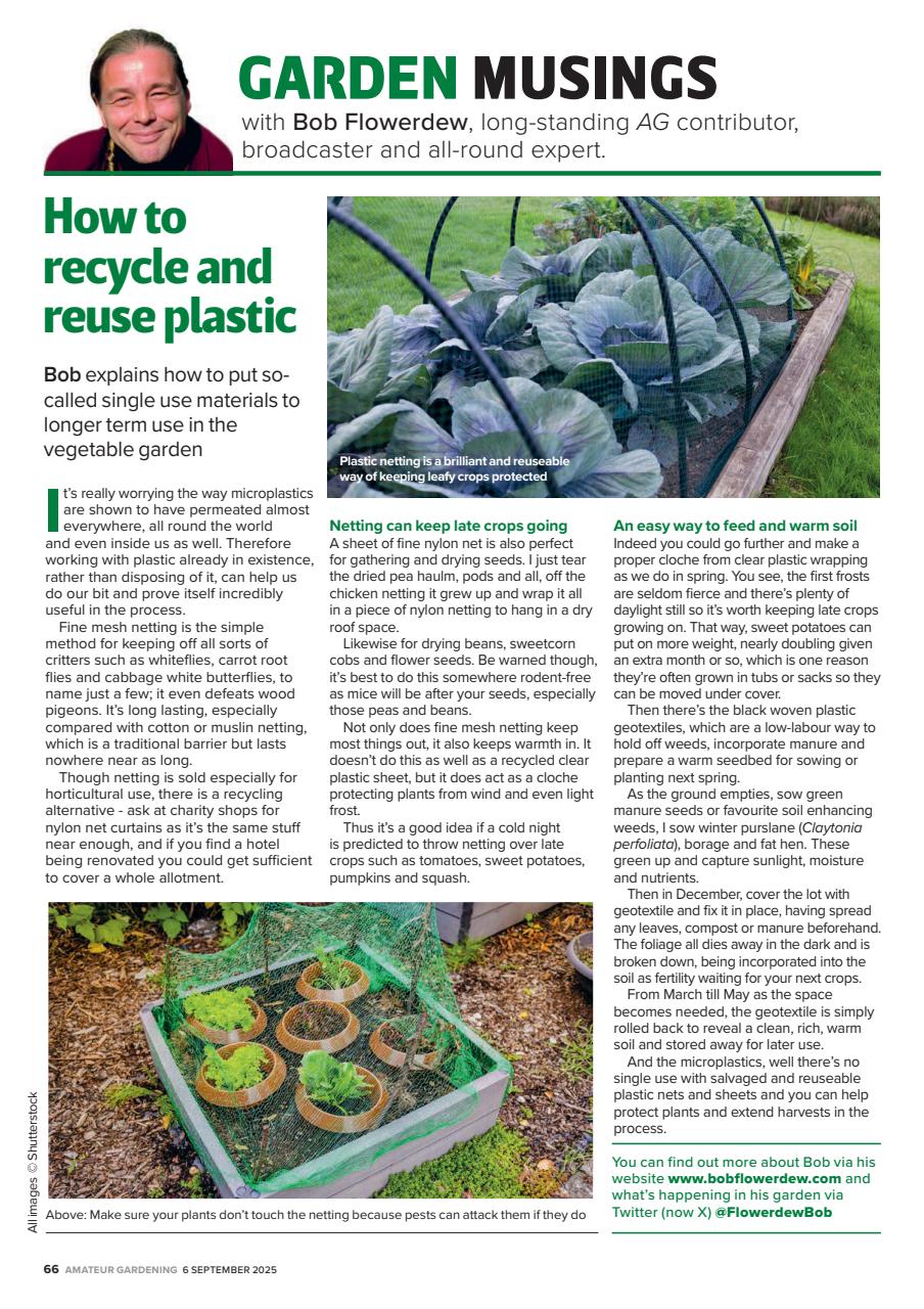 Amateur Gardening Preview Pages