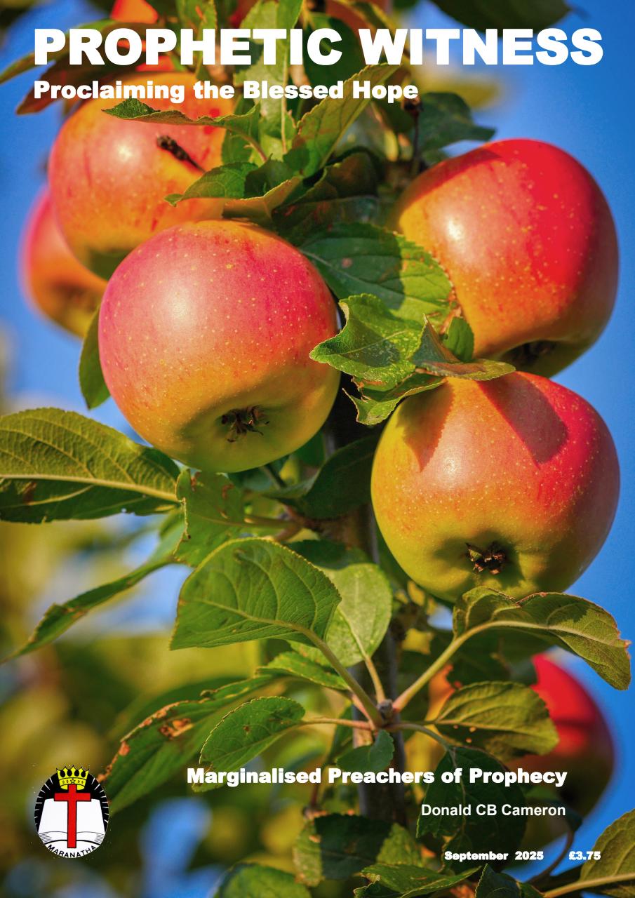 Prophetic Witness Preview Pages