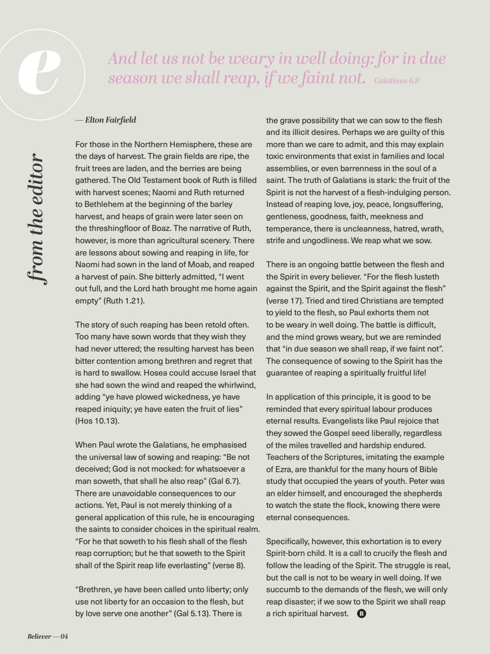 Believer Magazine Preview Pages