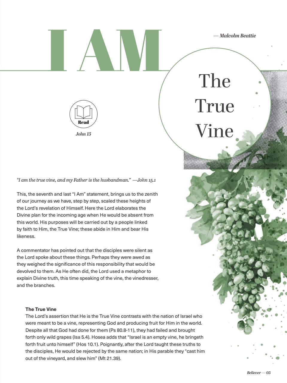 Believer Magazine Preview Pages