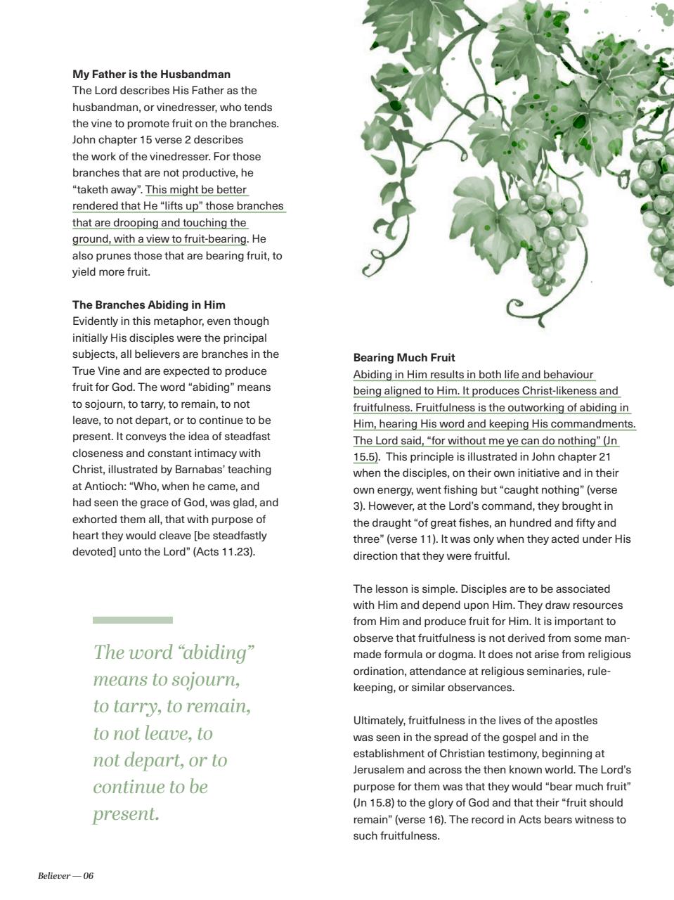 Believer Magazine Preview Pages