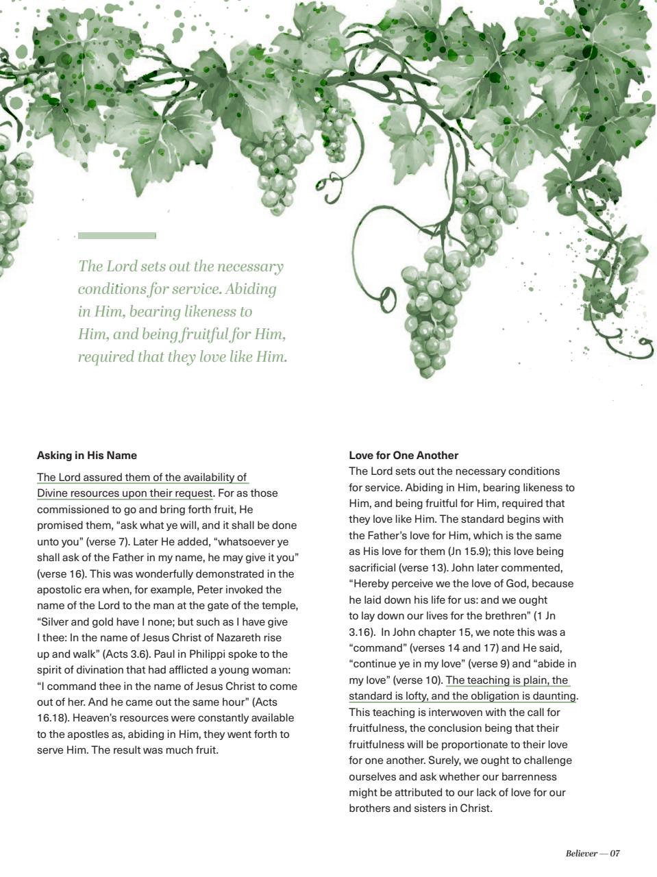 Believer Magazine Preview Pages