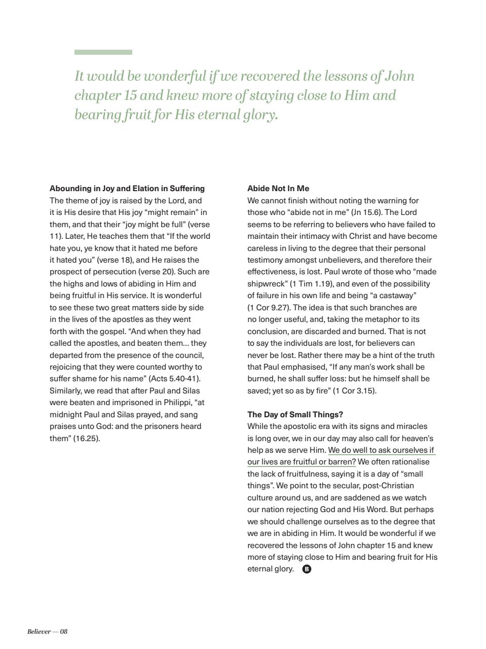 Believer Magazine Preview Pages