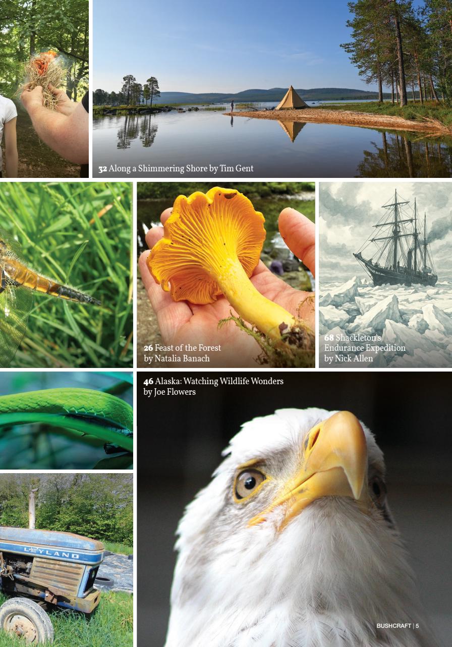 Bushcraft & Survival Skills Magazine Preview Pages