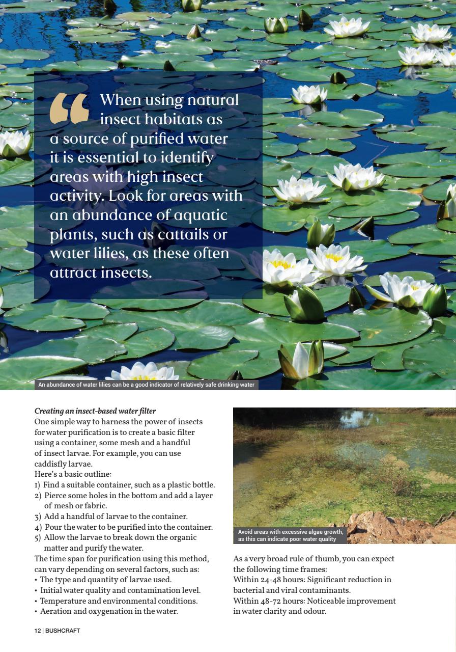 Bushcraft & Survival Skills Magazine Preview Pages