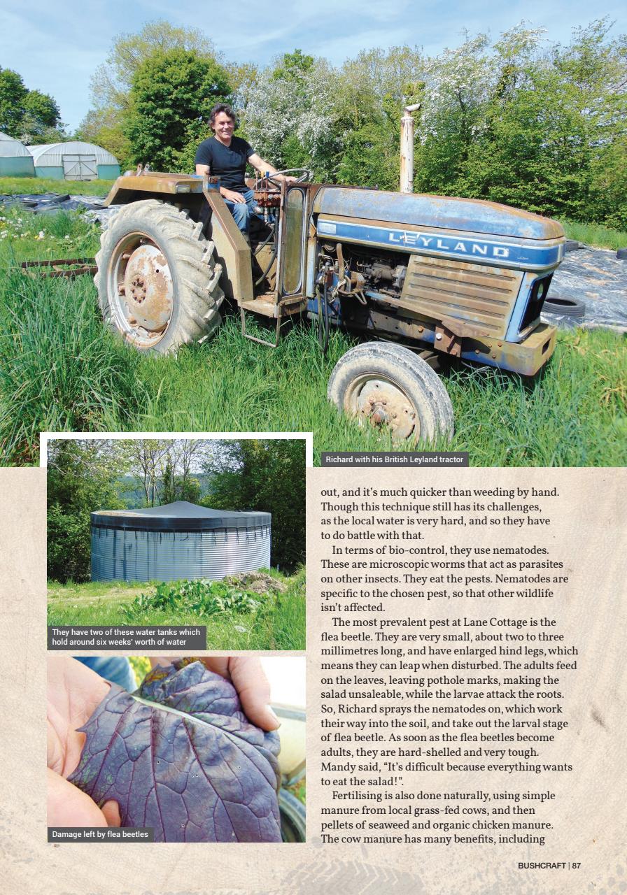 Bushcraft & Survival Skills Magazine Preview Pages