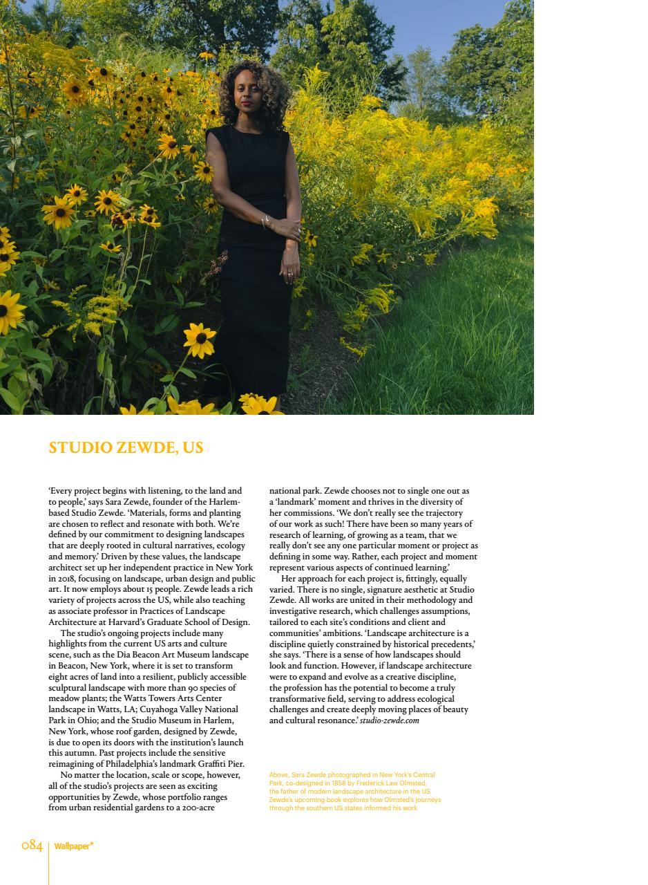 Wallpaper* Preview Pages