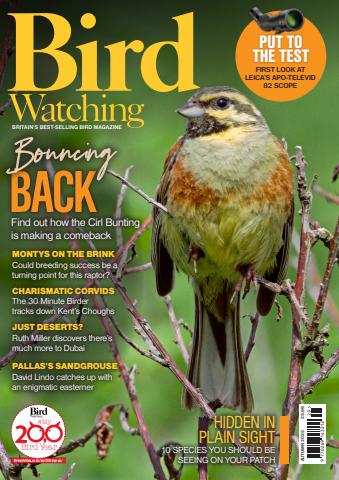 Bird Watching issue Aut-25