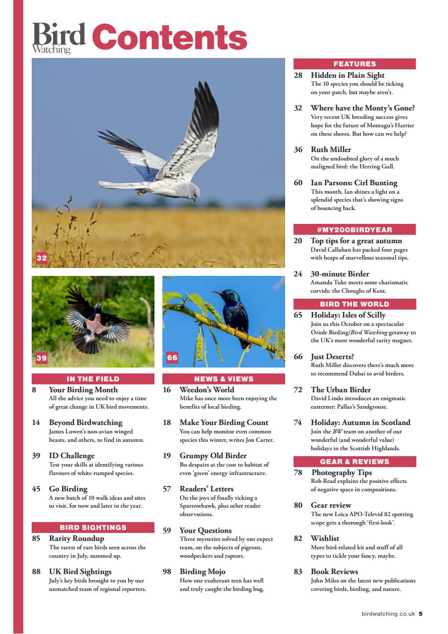 Bird Watching Preview Pages