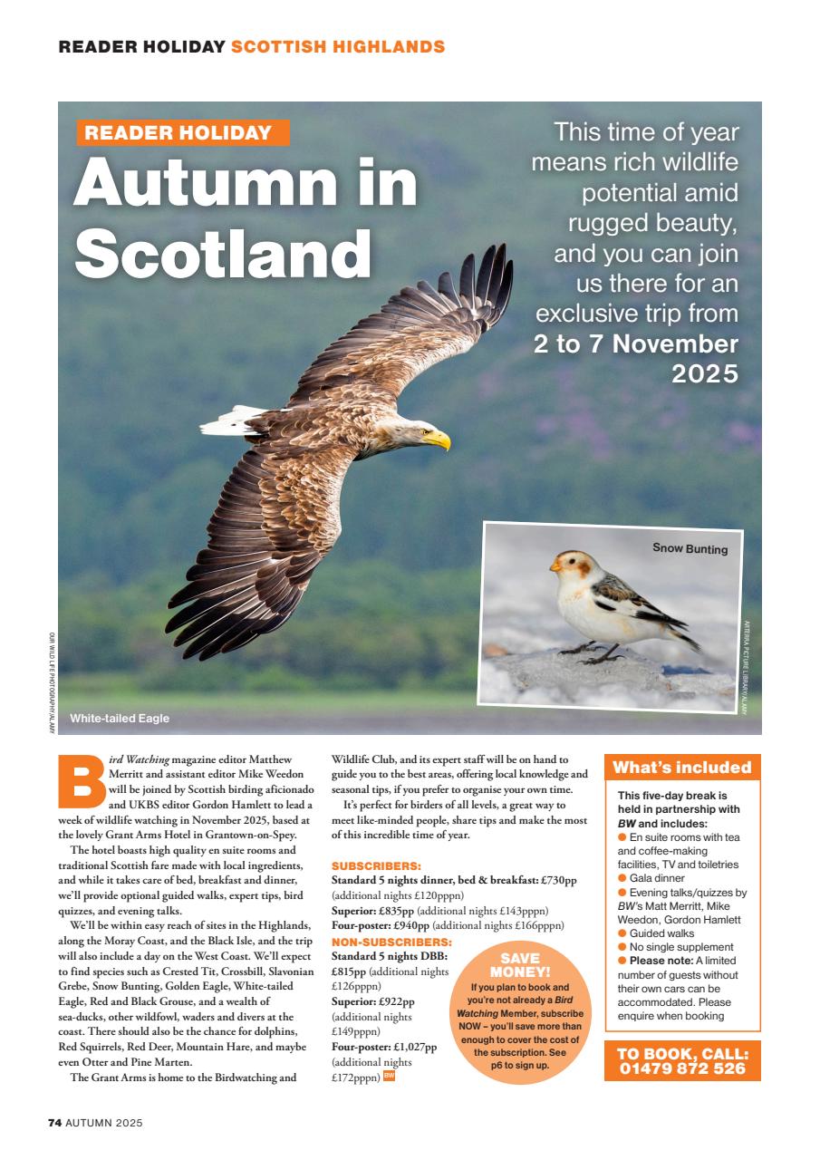 Bird Watching Preview Pages