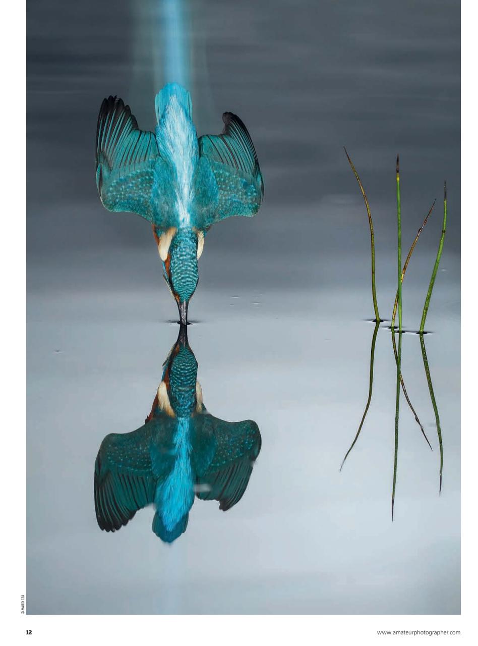 Amateur Photographer Preview Pages