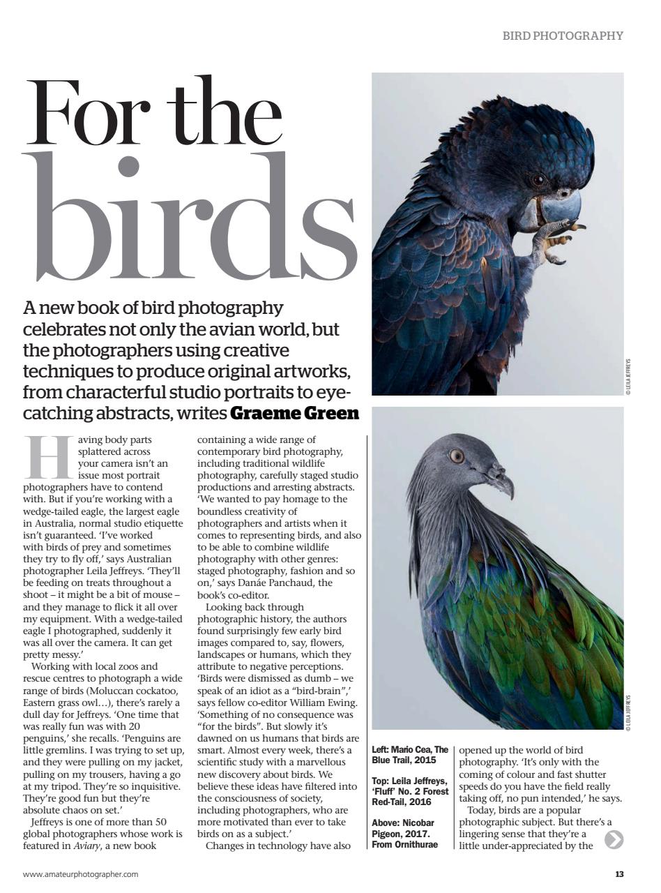 Amateur Photographer Preview Pages