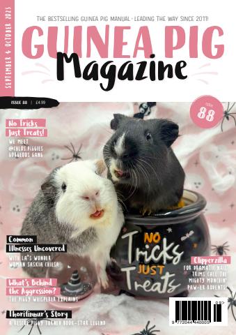Guinea Pig Magazine issue Issue 88 (Sept/Oct)