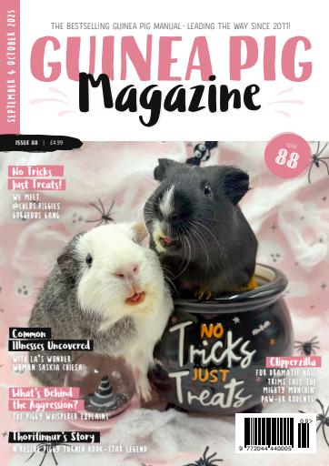 Guinea Pig Magazine issue 