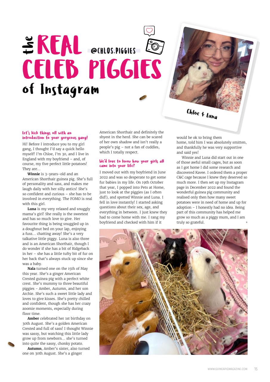 Guinea Pig Magazine Preview Pages