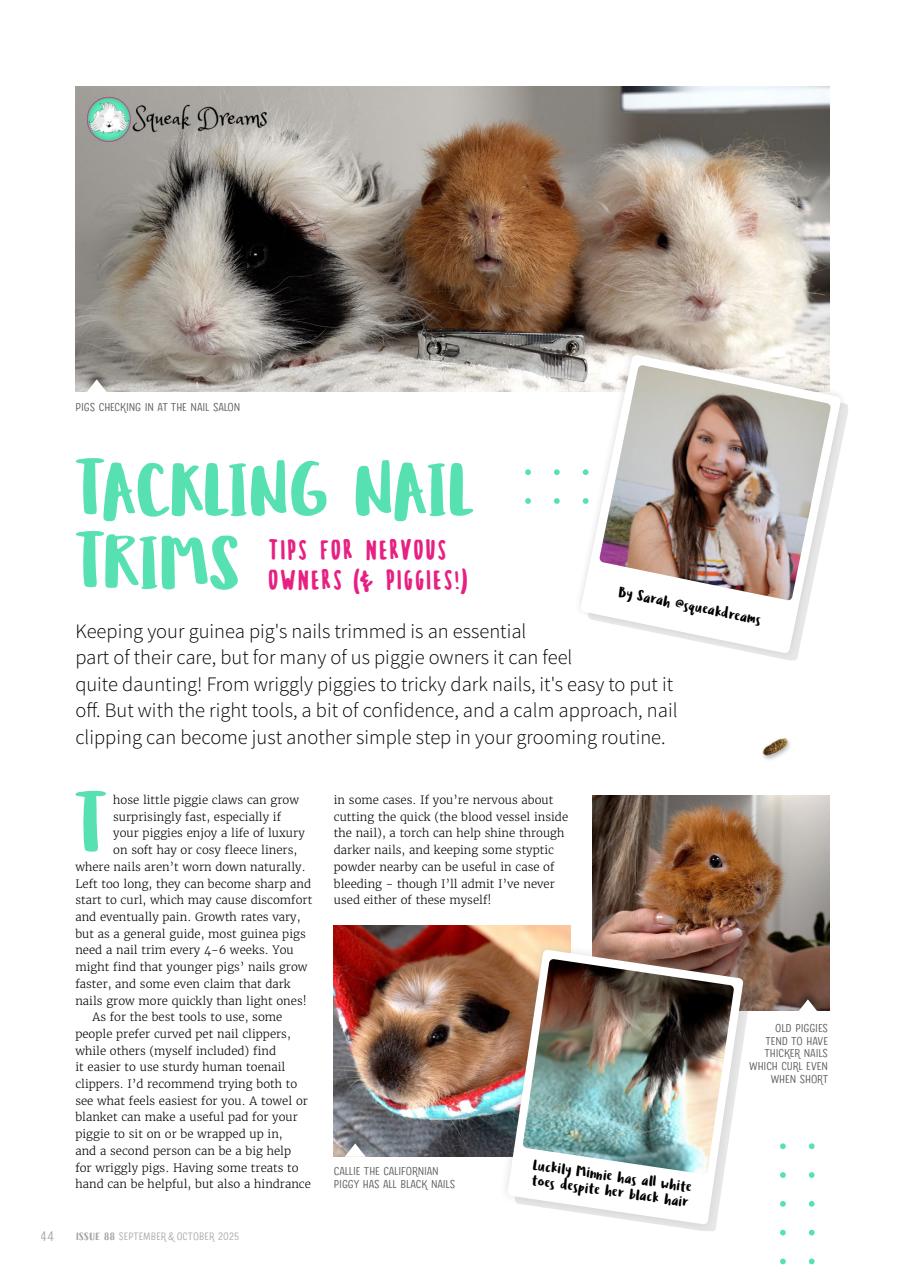 Guinea Pig Magazine Preview Pages