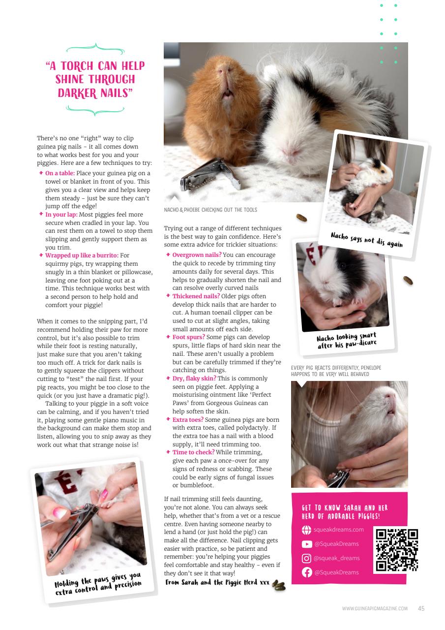 Guinea Pig Magazine Preview Pages