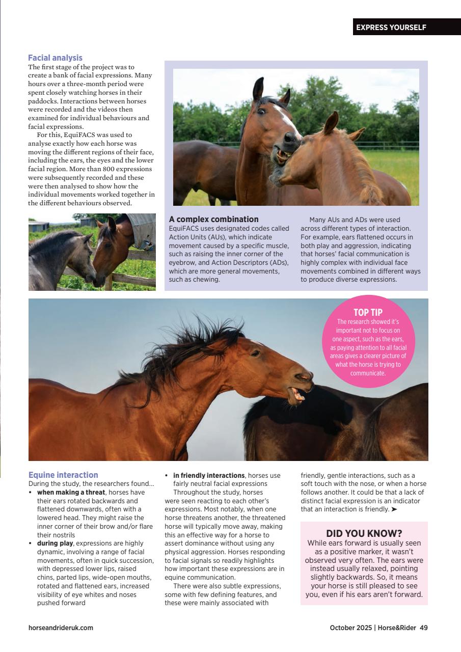 Horse&Rider Magazine - UK equestrian magazine for Horse and Rider Preview Pages