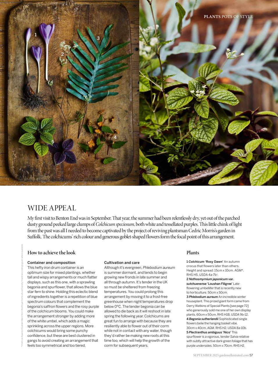 Gardens Illustrated Preview Pages