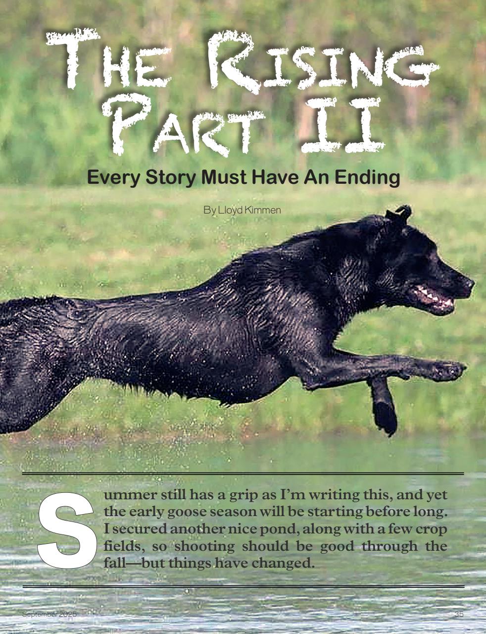 American Waterfowler Preview Pages