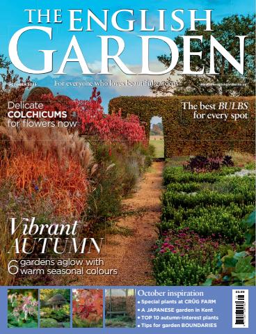 October 2025 issue October 2025