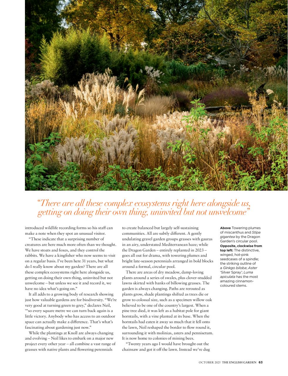 The English Garden Preview Pages