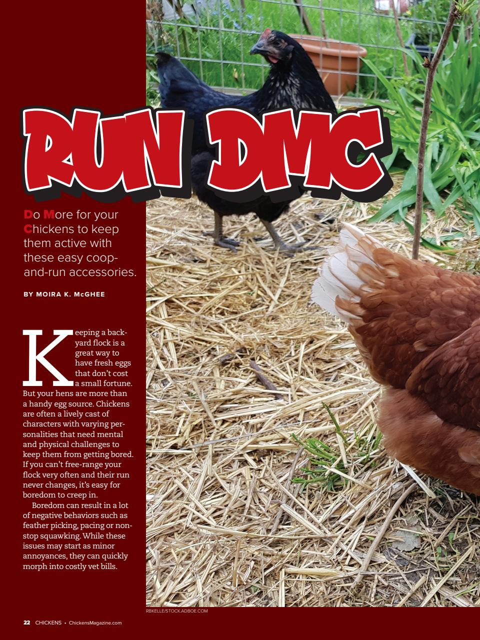 Chickens Magazine Preview Pages