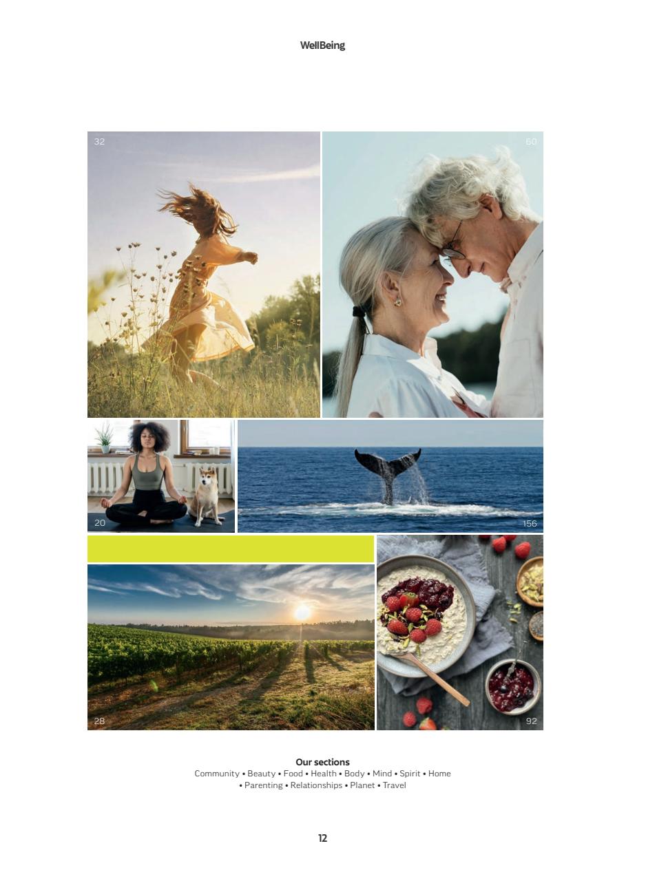 WellBeing Preview Pages