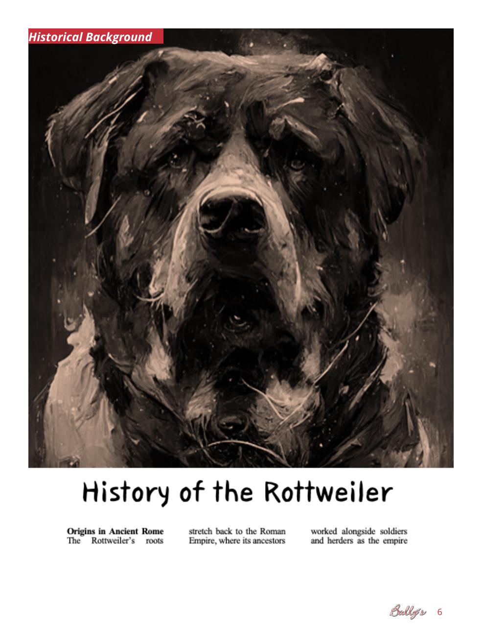 Bully’s - The Bulldog Magazine Preview Pages