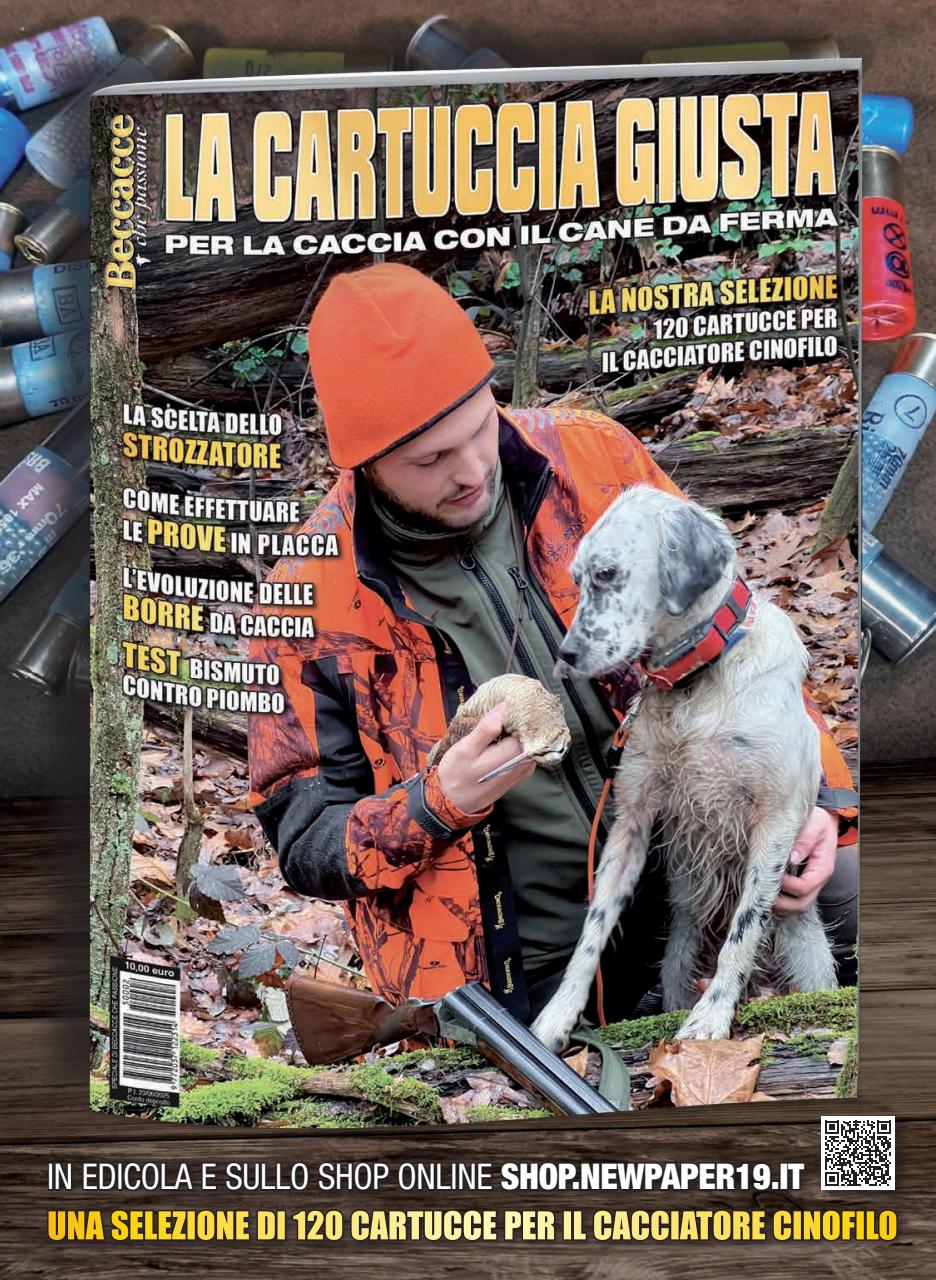 ARMI SHOP Preview Pages