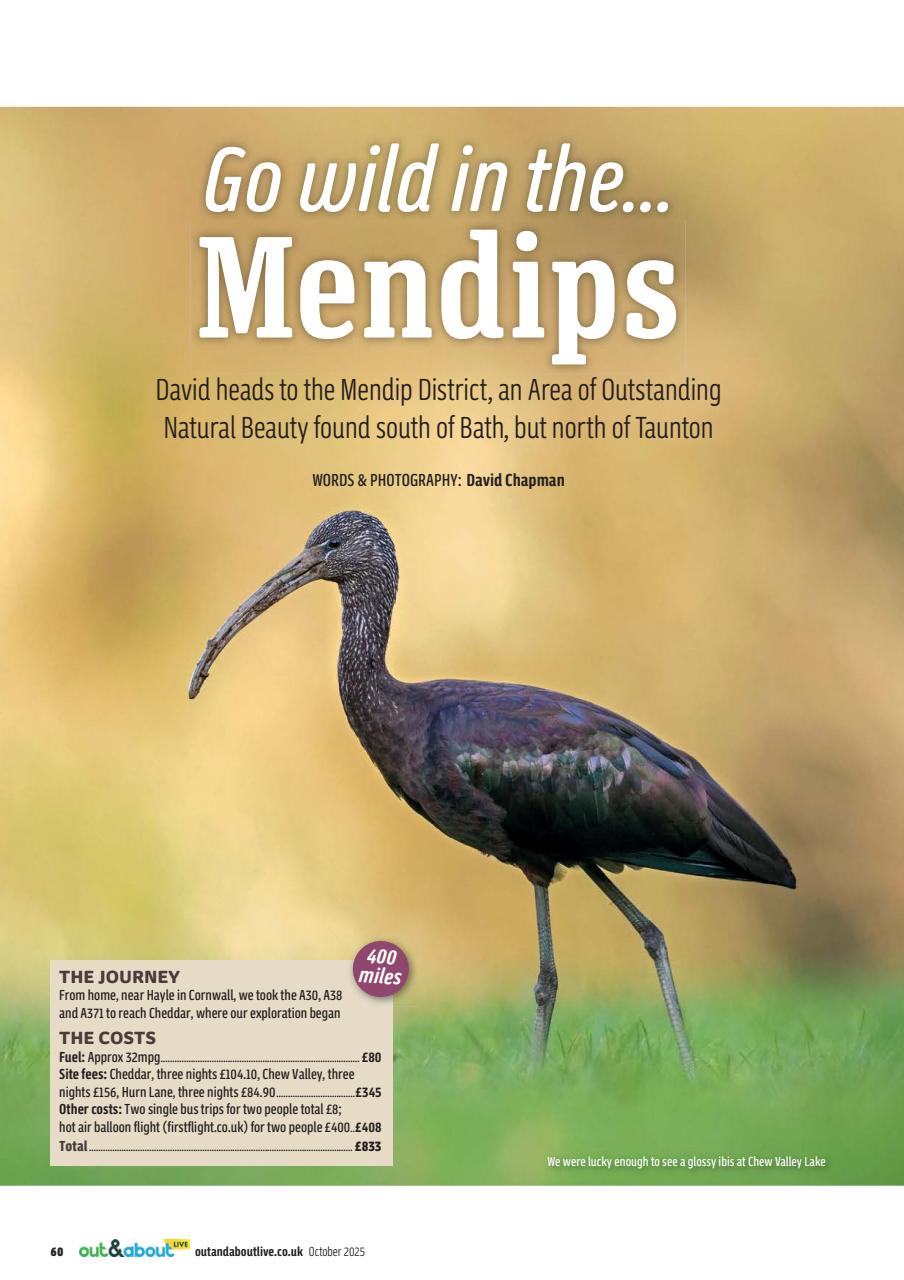 MMM magazine Preview Pages