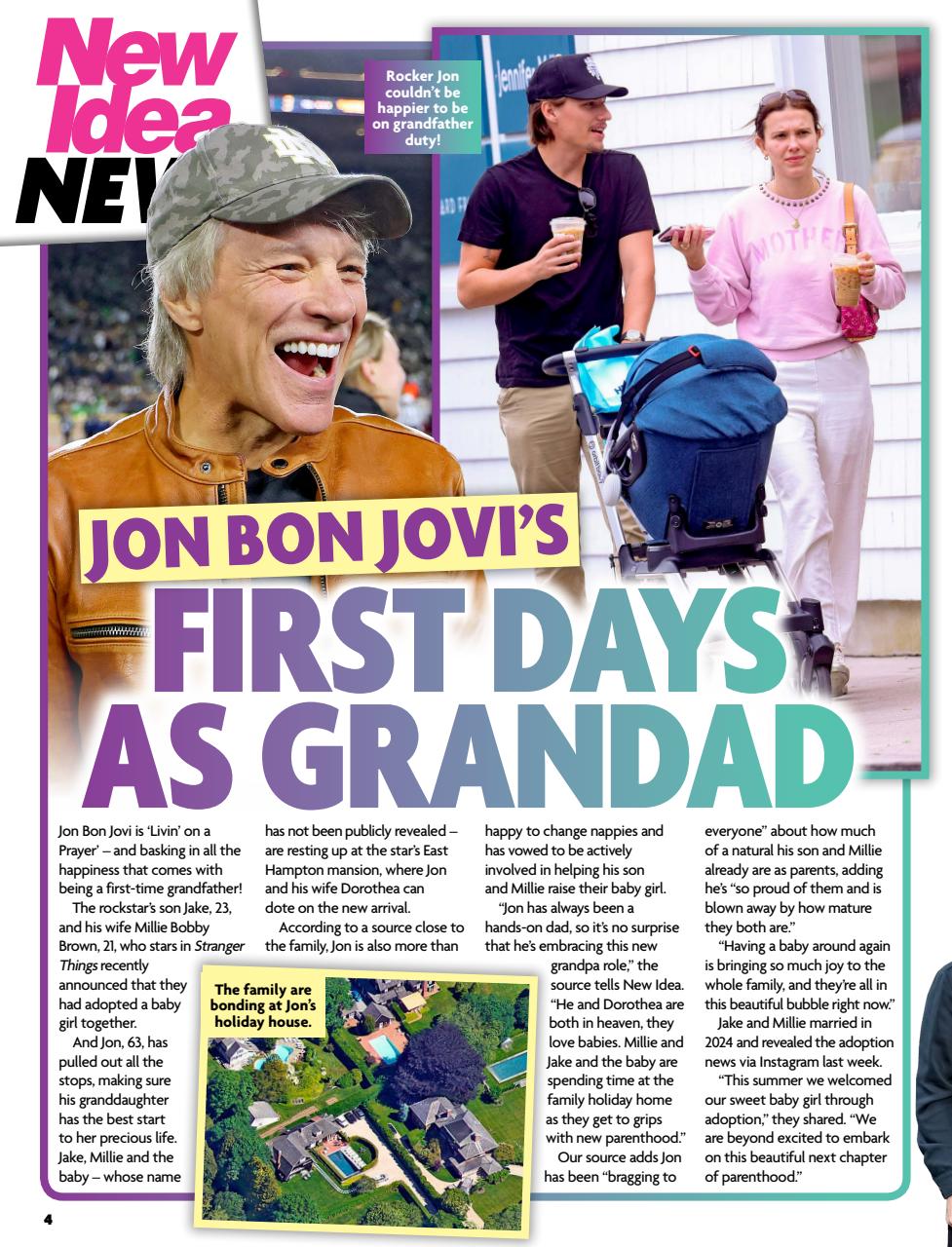 New Idea Preview Pages