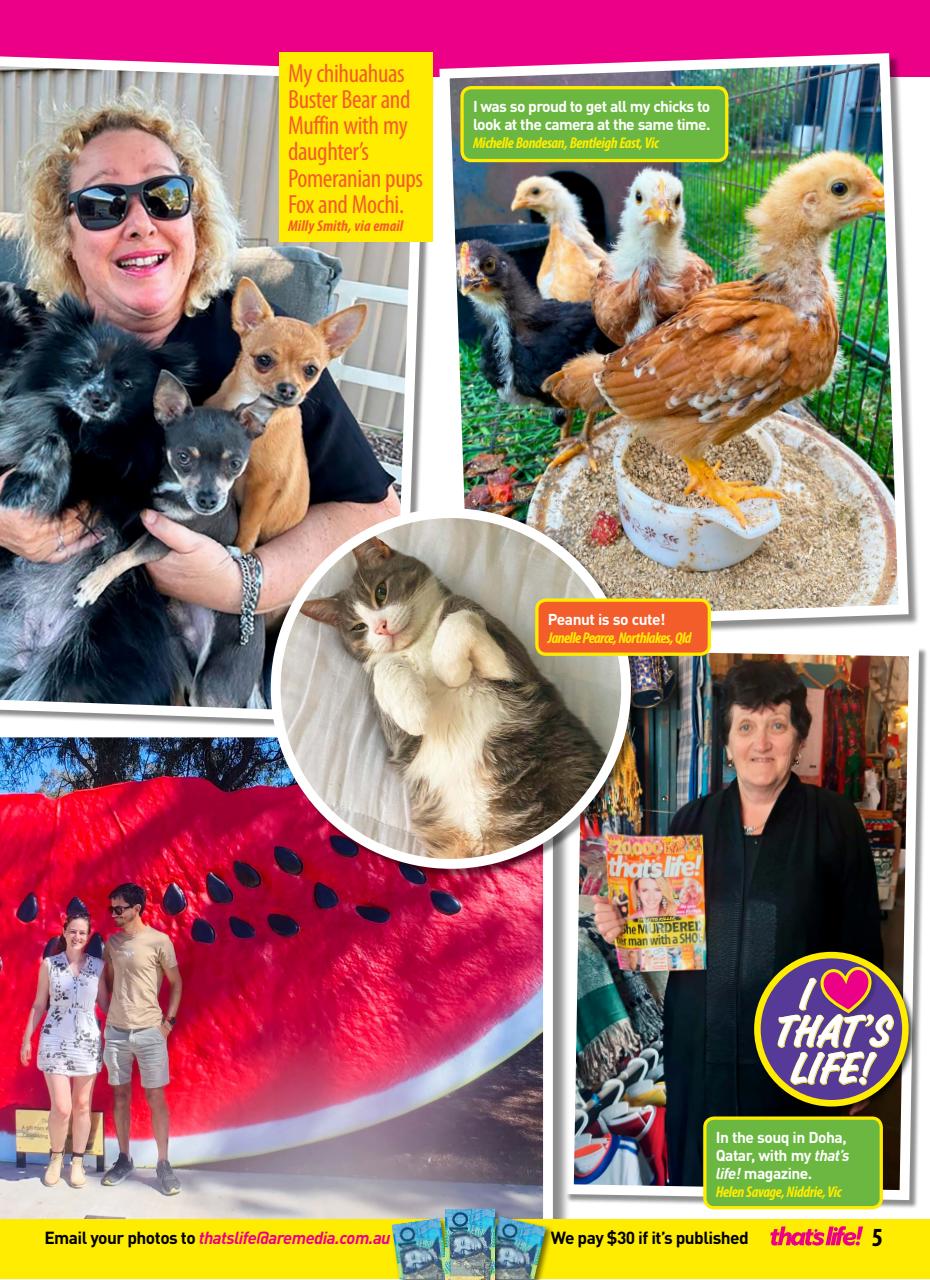 That’s Life! Preview Pages